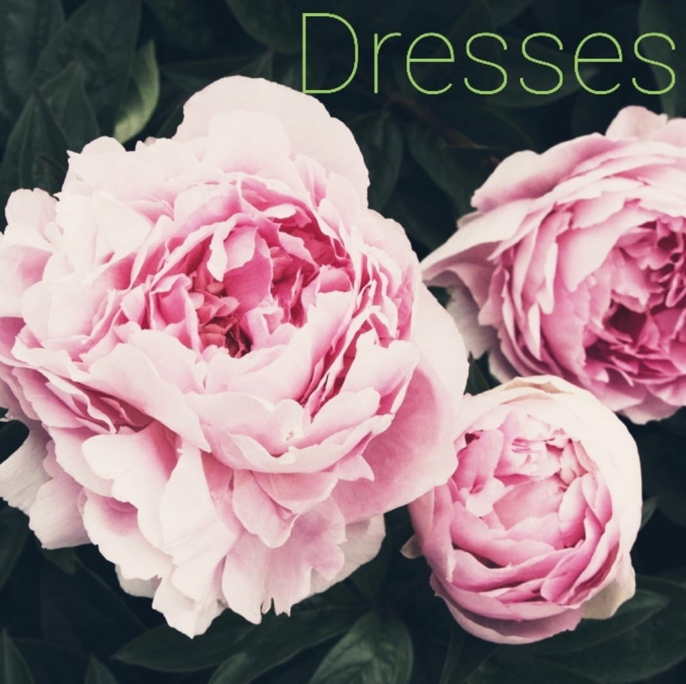 Dresses